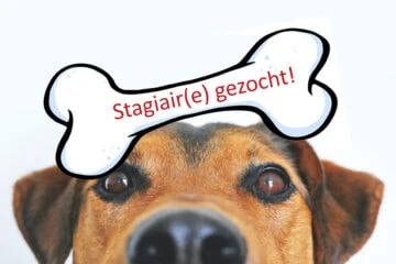 Stagiair(e) gezocht